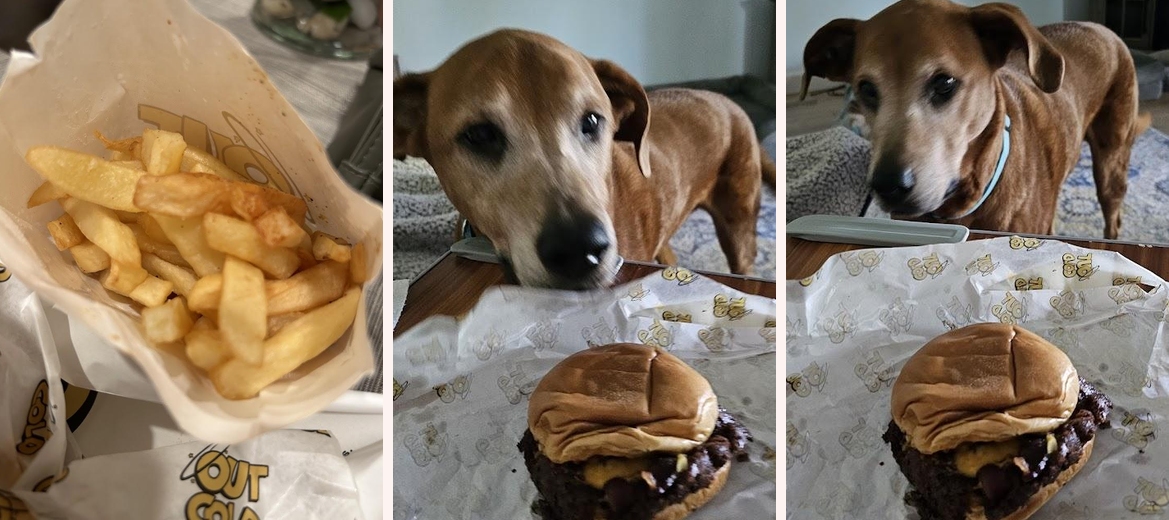 Out Cold Burgers & Fries Gallery Image 5